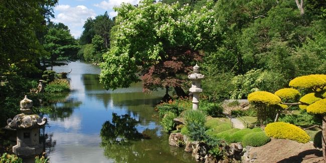 découverte du parc oriental et jardin japonais de maulévrier