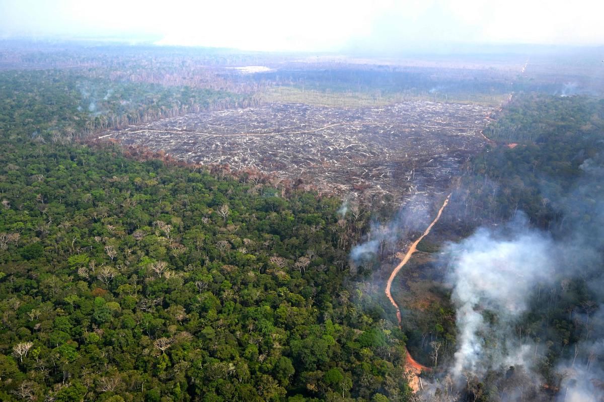 La déforestation en Amazonie brésilienne atteint un seuil historique sous le million d'hectares
