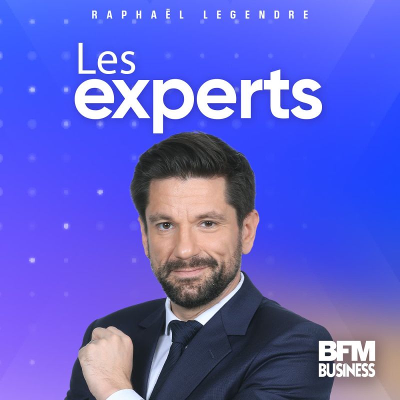 Ce que disent les experts : décryptage des enjeux économiques