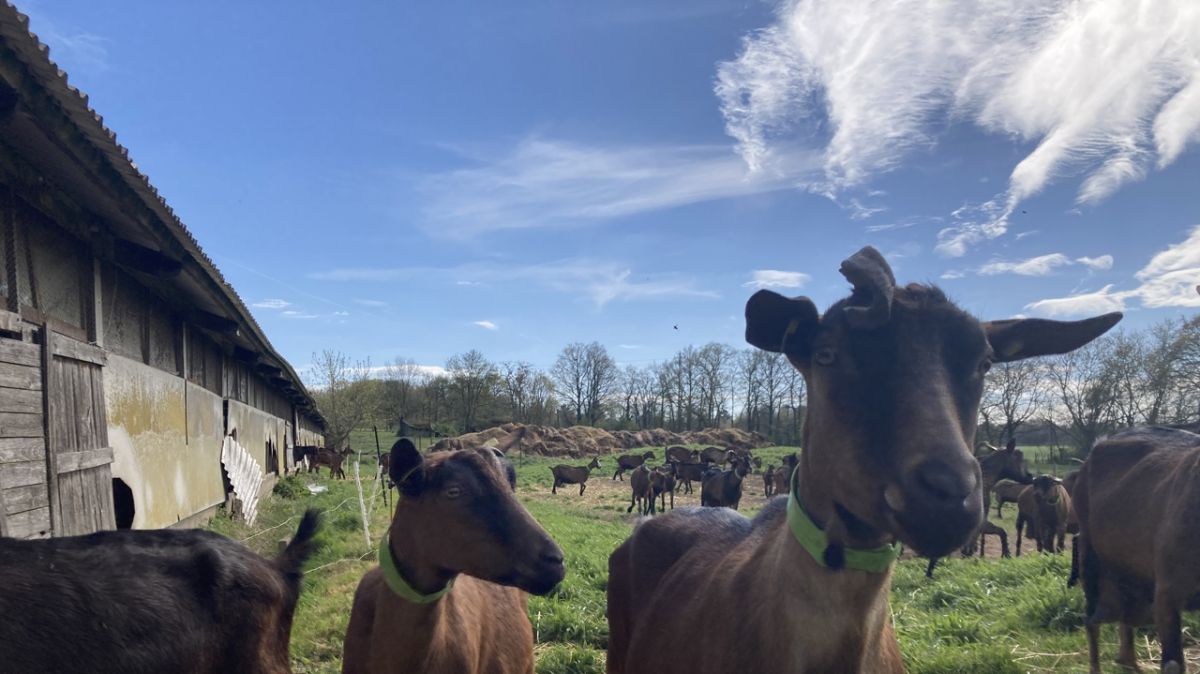 Une ferme d'Indre-et-Loire mise à l'honneur pour son engagement en faveur du tourisme accessible