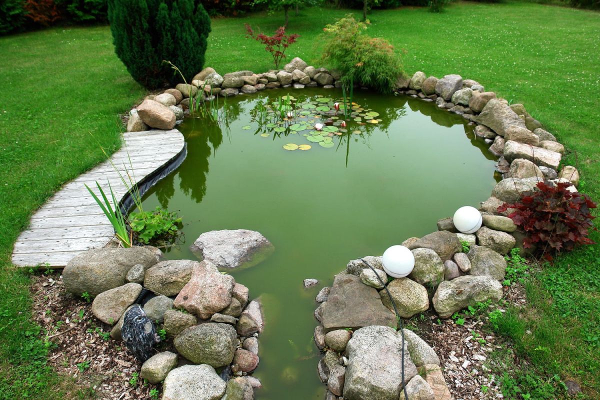 Dites oui à l’eau : créez votre bassin de jardin en 8 étapes faciles