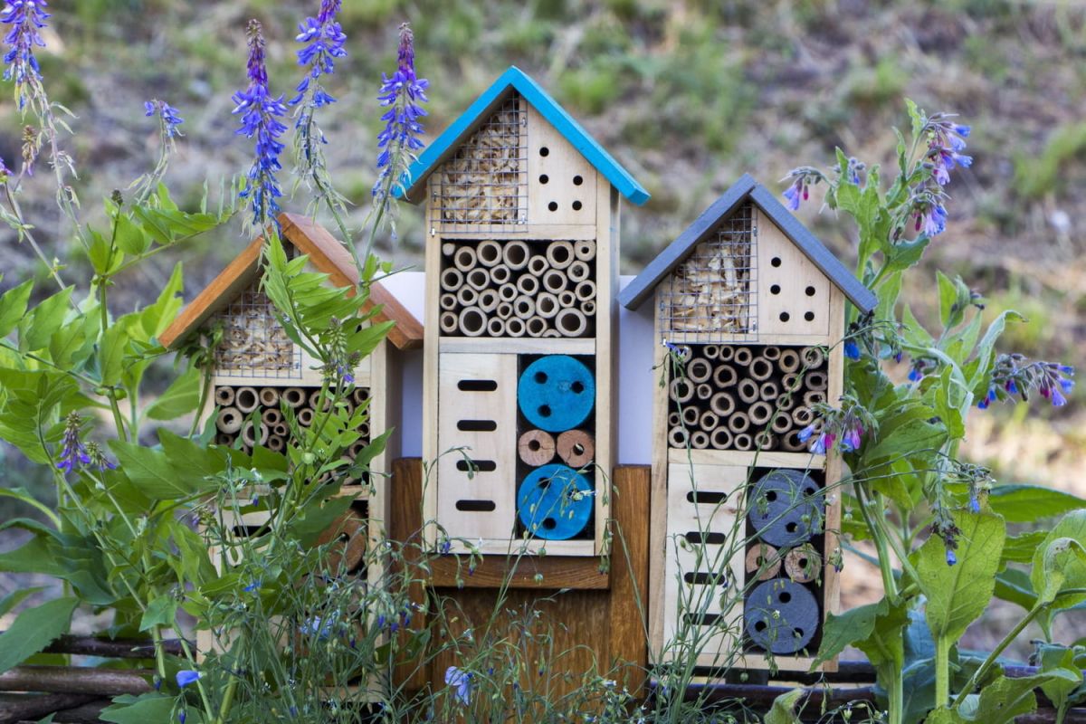 Hôtel à insectes : l'abri très utile pour le jardin
