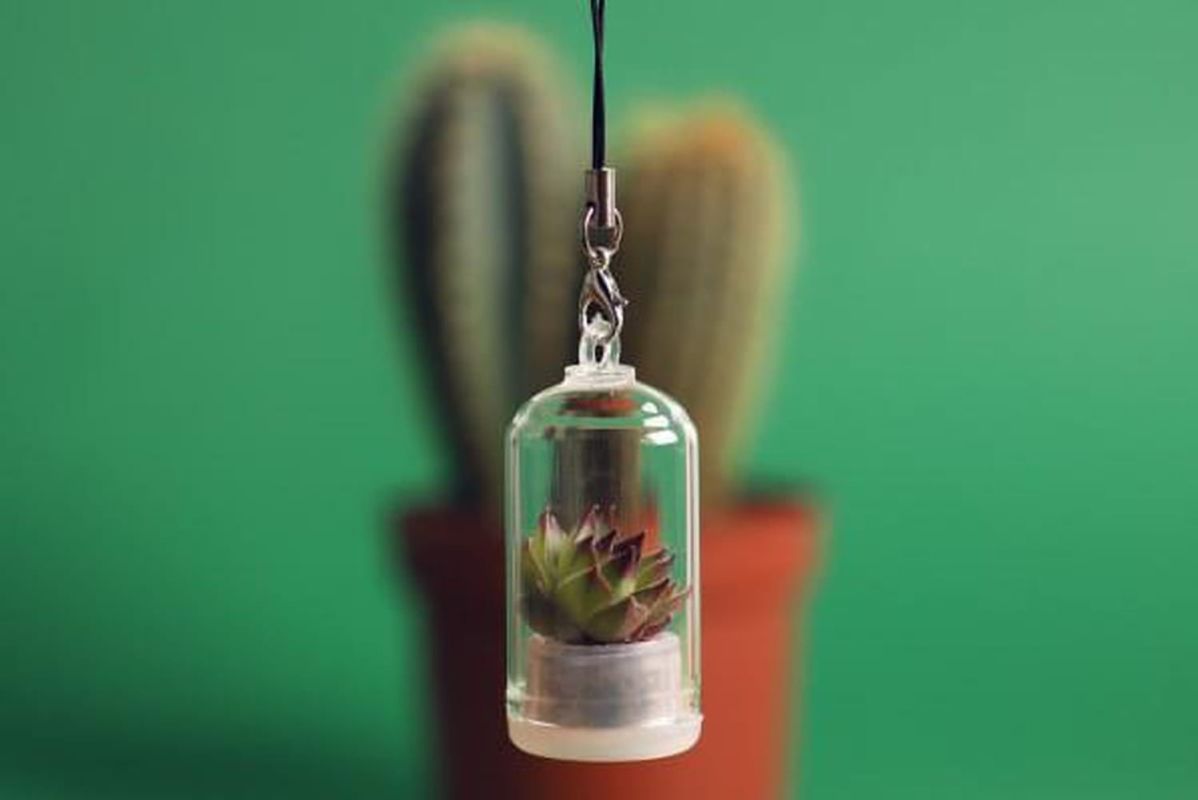 Emportez la nature avec vous grâce à ces porte-clés végétaux