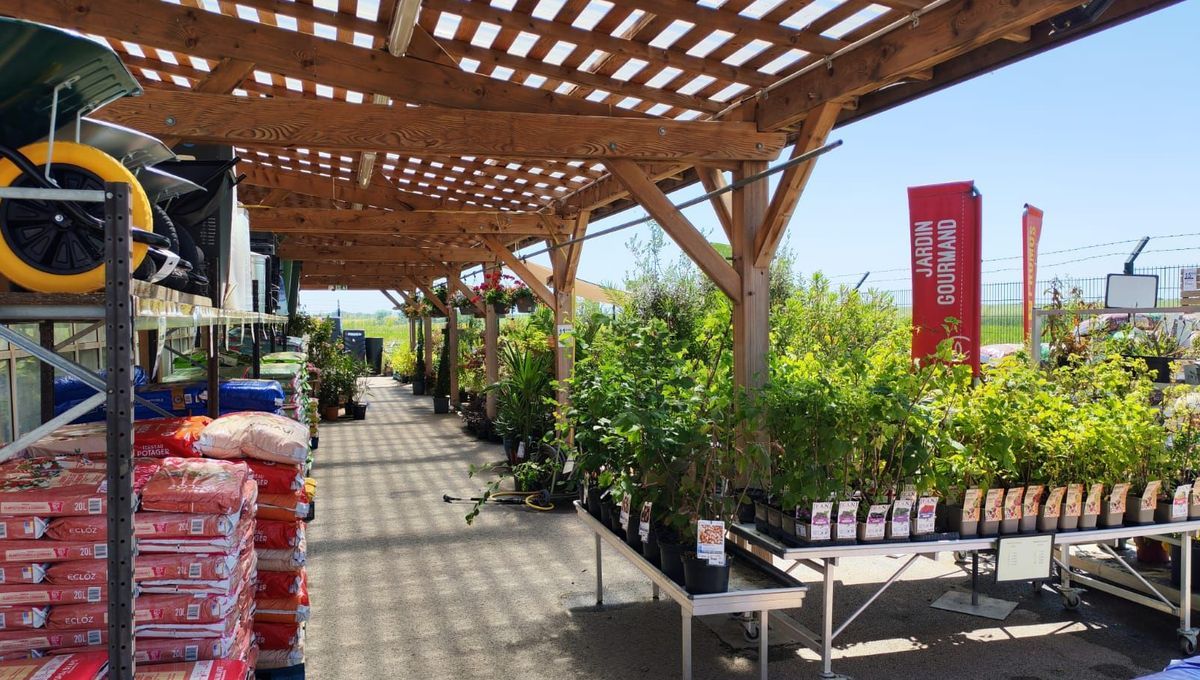 Vague de chaleur en Côte-d'Or : des jardineries en pleine effervescence avant la fête des mères