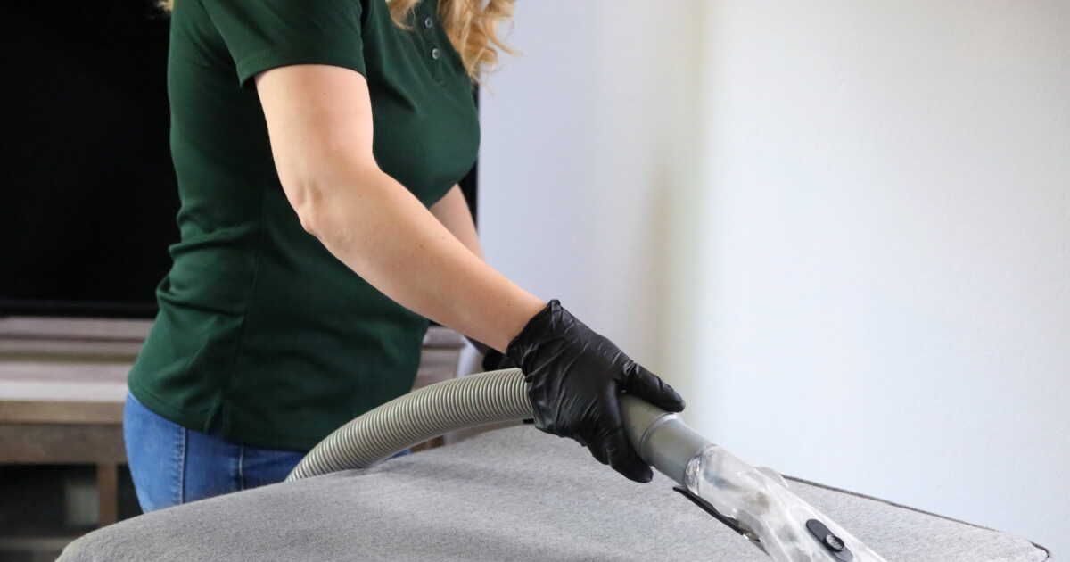 Comment lutter contre les punaises de lit : les erreurs à éviter avec l'aspirateur