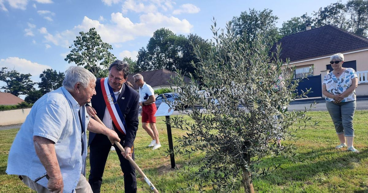Dun-le-Palestel célèbre la mémoire d'Ilan Halimi : un olivier contre l'antisémitisme