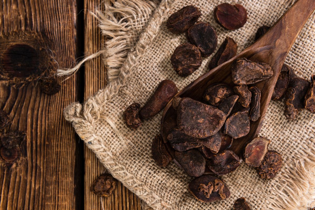 Les secrets méconnus de la noix de cola : un trésor naturel à redécouvrir