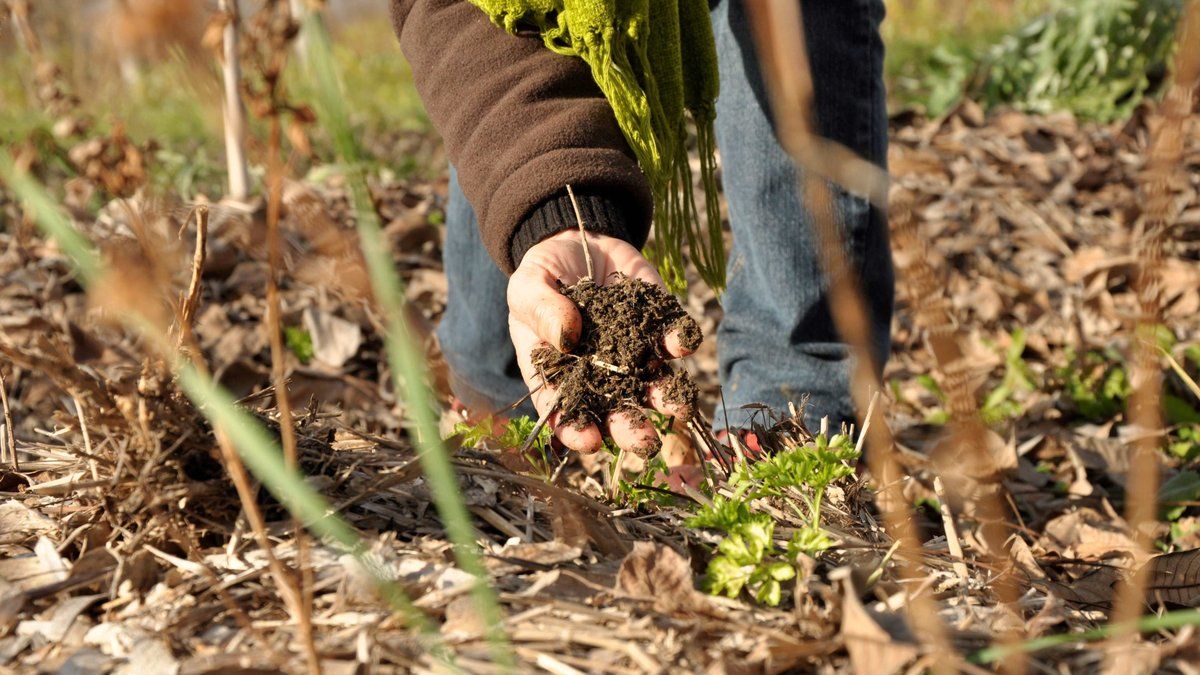 Vézénobres se distingue aux Deauville Green Awards 2026 grâce à une œuvre sur l'agroforesterie