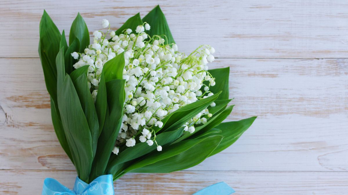 Vendre du muguet le 1er mai : les règles à suivre