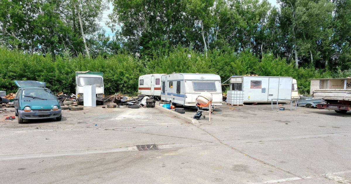 Une occupation inattendue au stade de la piscine à Livron-sur-Drôme