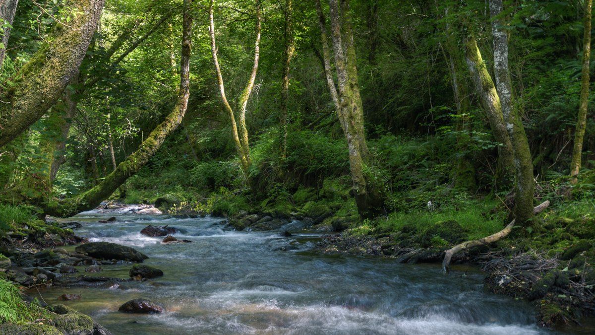 Découverte macabre en Isère : le corps d'un maçon retrouvé dans un cours d'eau