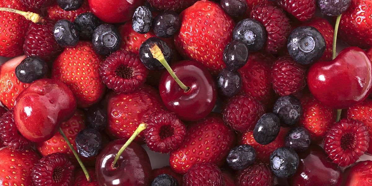 À la découverte des fruits rouges, trésors gourmands du jardin