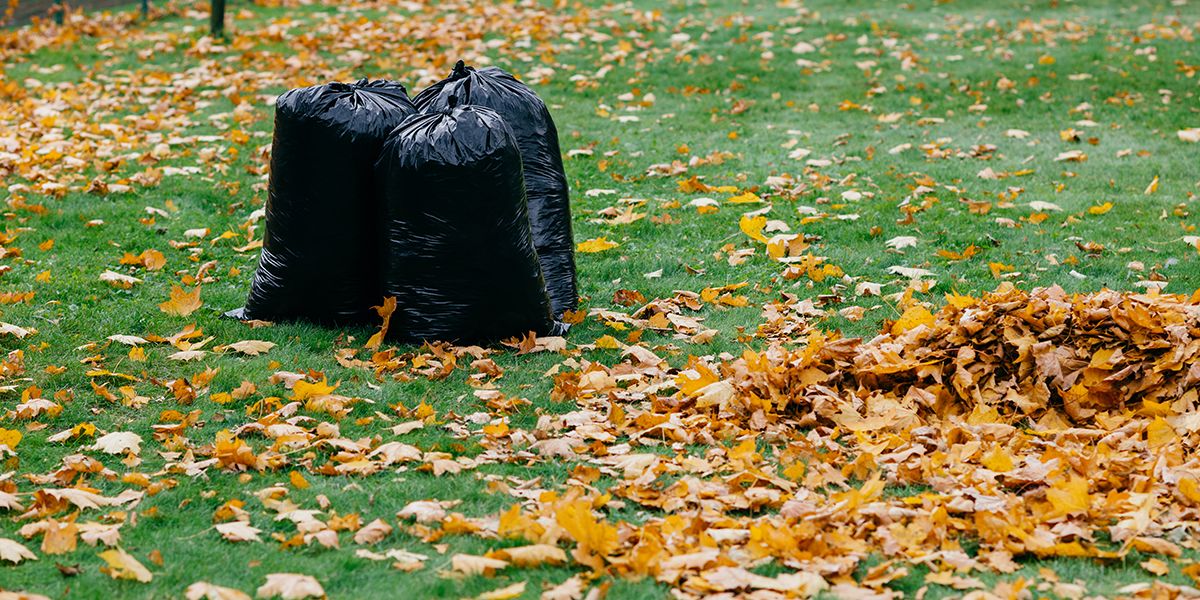Les pièges de l'automne au jardin : évitez ces erreurs courantes