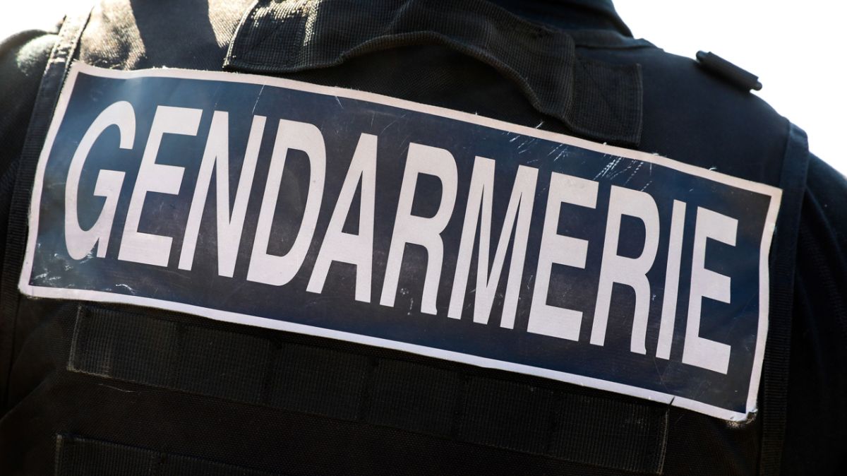 Tragique accident aérien dans le Loiret : un gendarme perd la vie