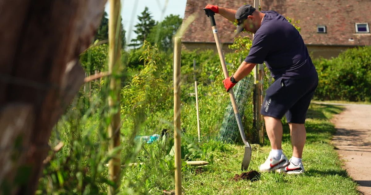 Jardins familiaux : un souffle de fraîcheur au cœur du quotidien