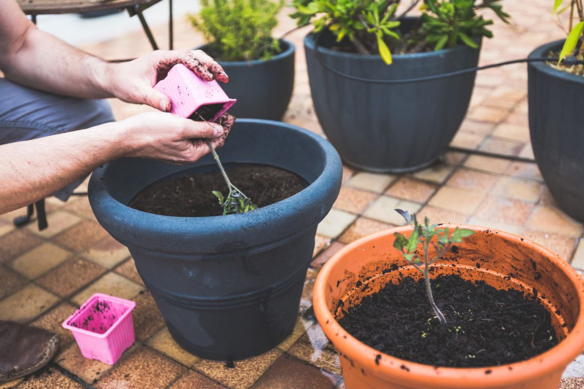 Voici comment bien choisir son pot et le préparer pour réussir ses plantations