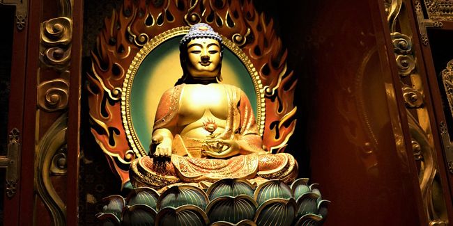 La fleur de lotus : entre sacré et symbolisme intemporel