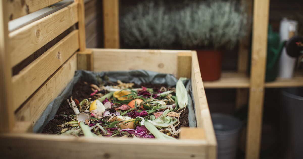 Les aliments à proscrire dans votre compost