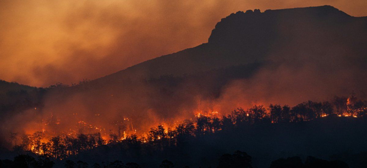 Vigilance renforcée face aux feux de forêt dans le sud de la France