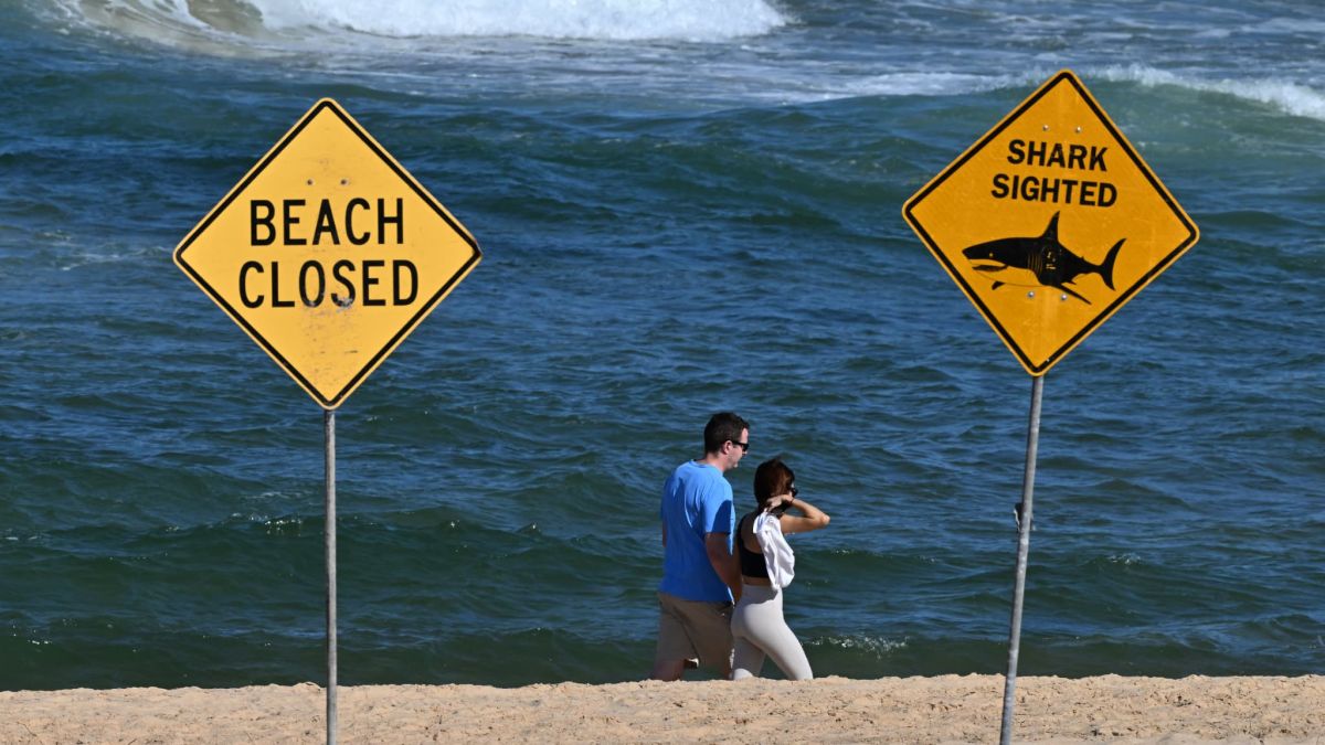 Attaque de requin à Coogee Beach : une nageuse dans un état critique