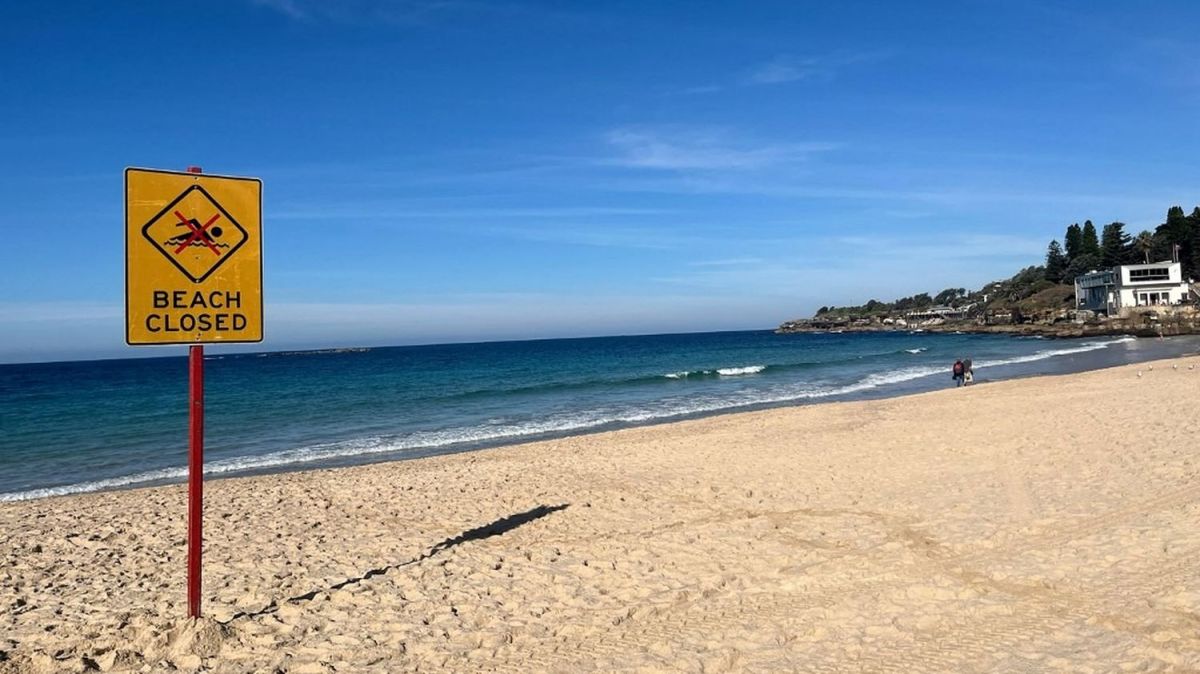 Une nageuse gravement blessée par un requin à Coogee Beach
