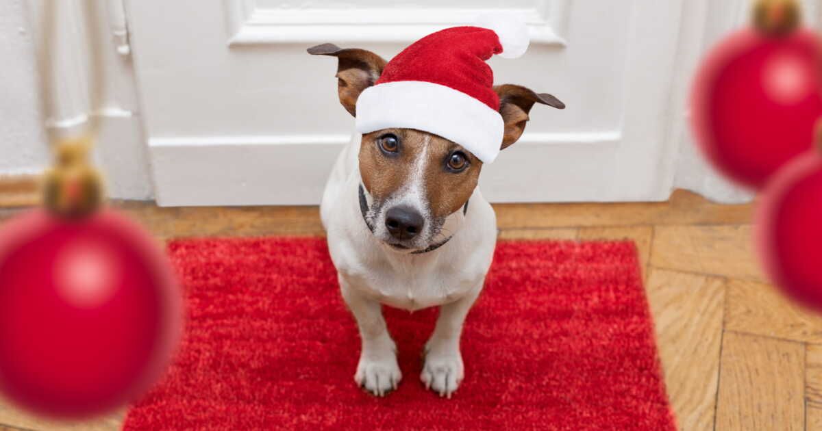 Transformez votre entrée avec un paillasson de Noël fait main