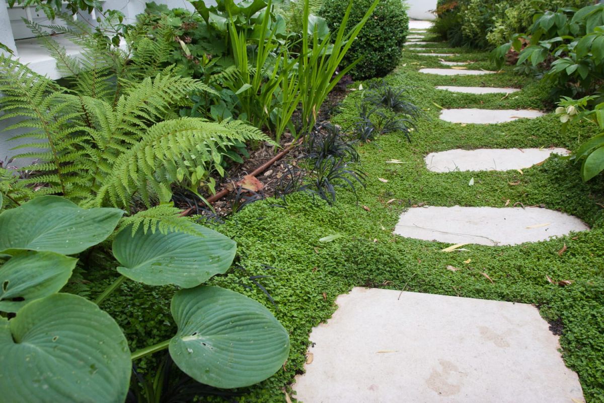 Comment poser des pas japonais pour embellir votre jardin