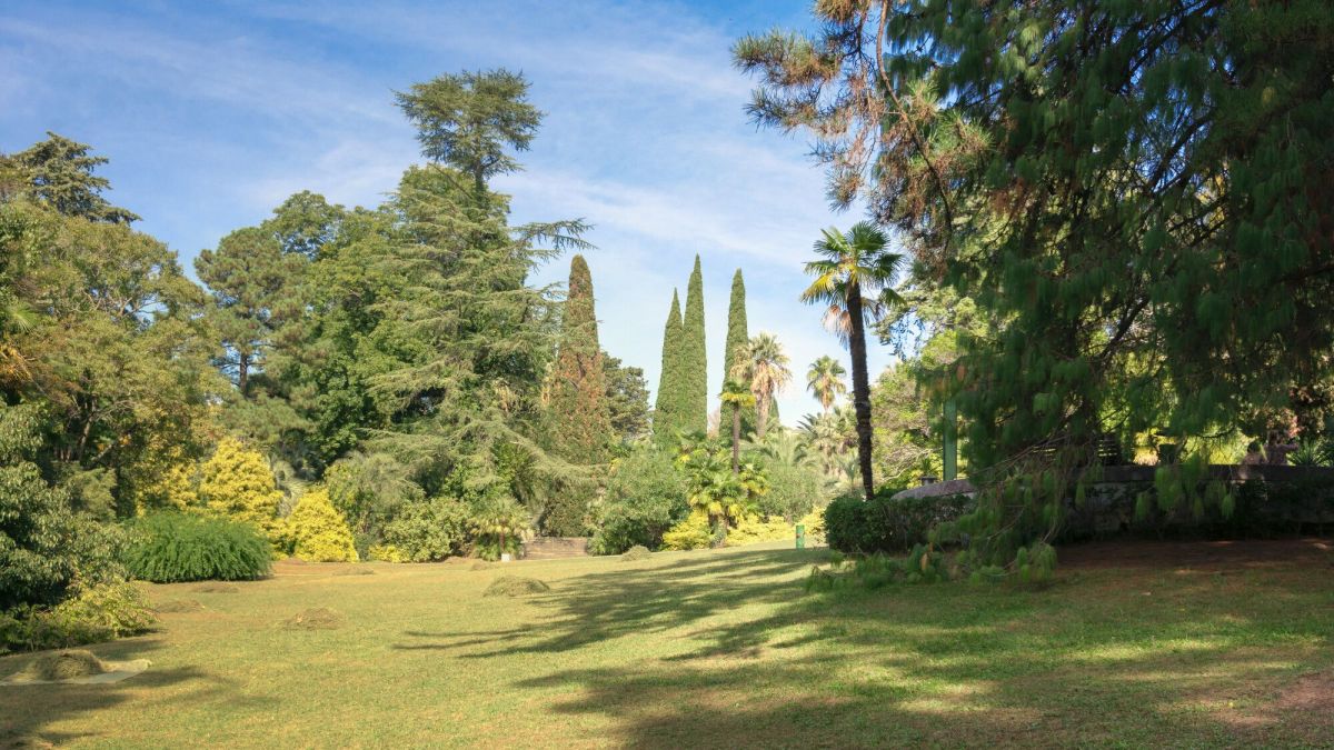 Jardin : Pourquoi le gazon de Marlow refuse-t-il de croître ?