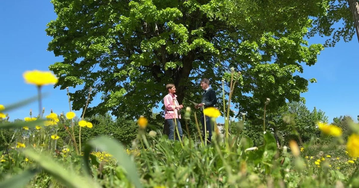 À Lyon, transformer la terre de chantier en espaces verts durables