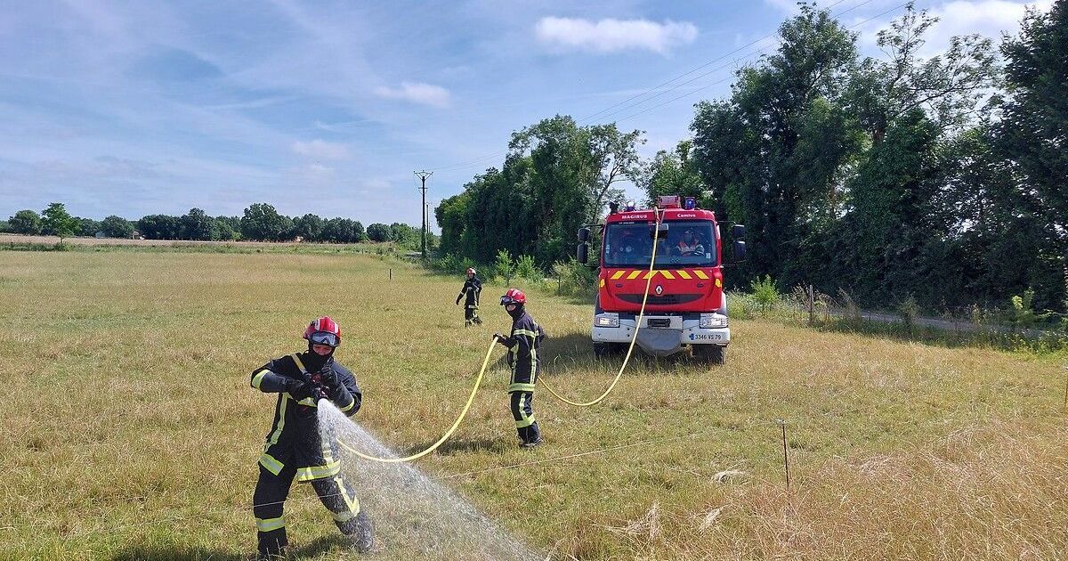 Feu de végétation près de l'A71 : une mobilisation impressionnante des pompiers dans l'Allier