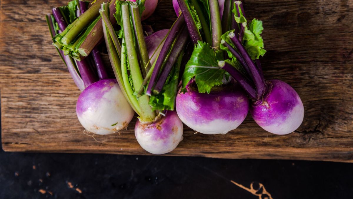 Le navet : le petit trésor des potagers qui fait parler de lui