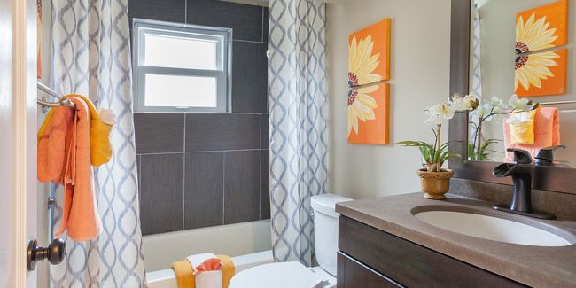 Les secrets d'une installation réussie de votre rideau de douche