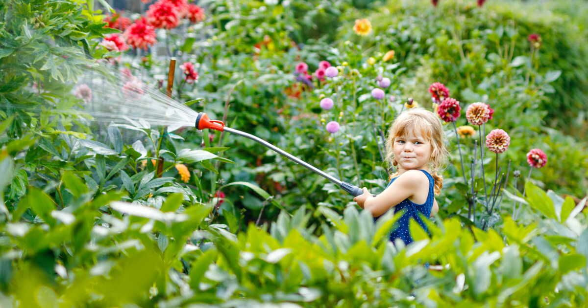 Comment arroser vos plantes en période de chaleur : conseils pratiques