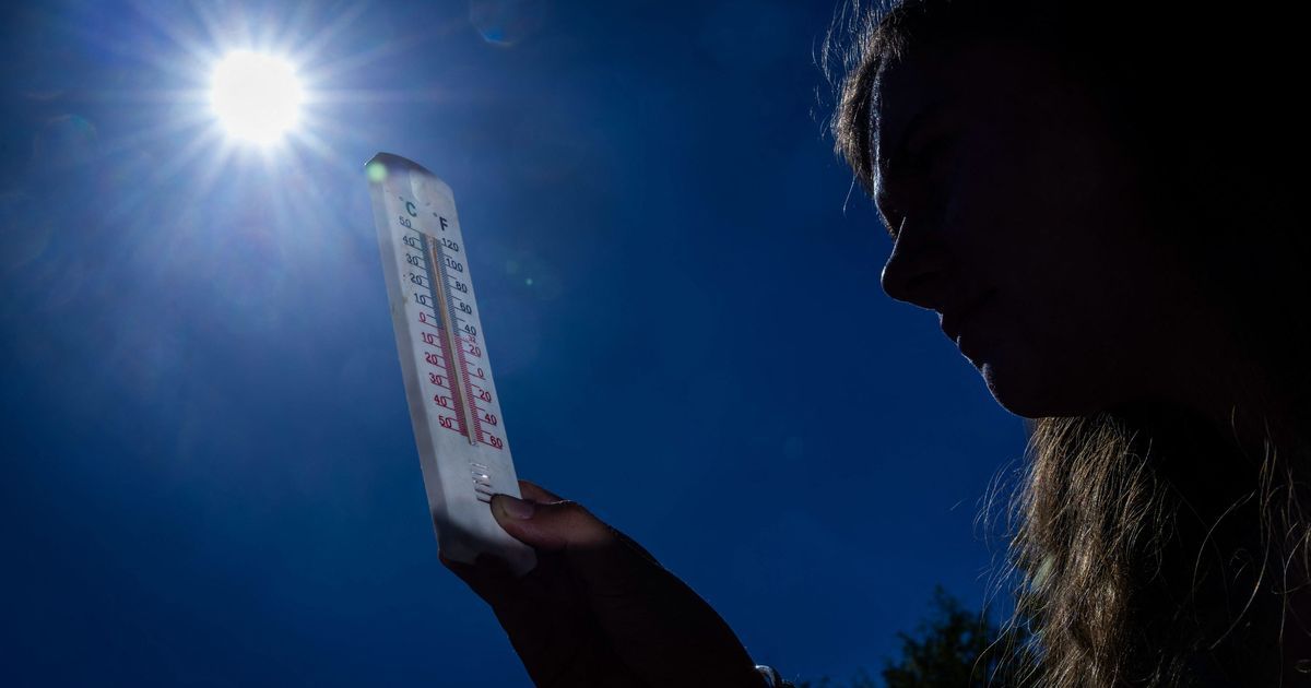 Canicule : le Puy-de-Dôme et l'Allier placés en vigilance jaune ce mardi 16 juin