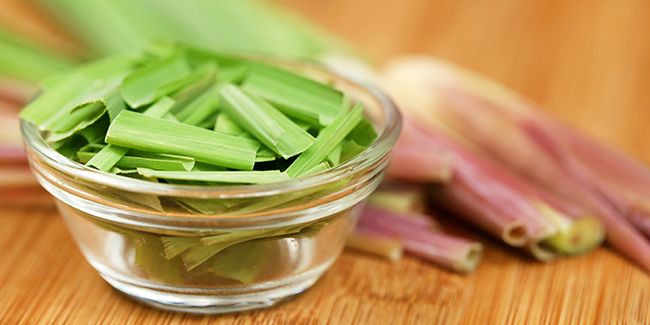 Les bienfaits insoupçonnés de la citronnelle pour votre santé
