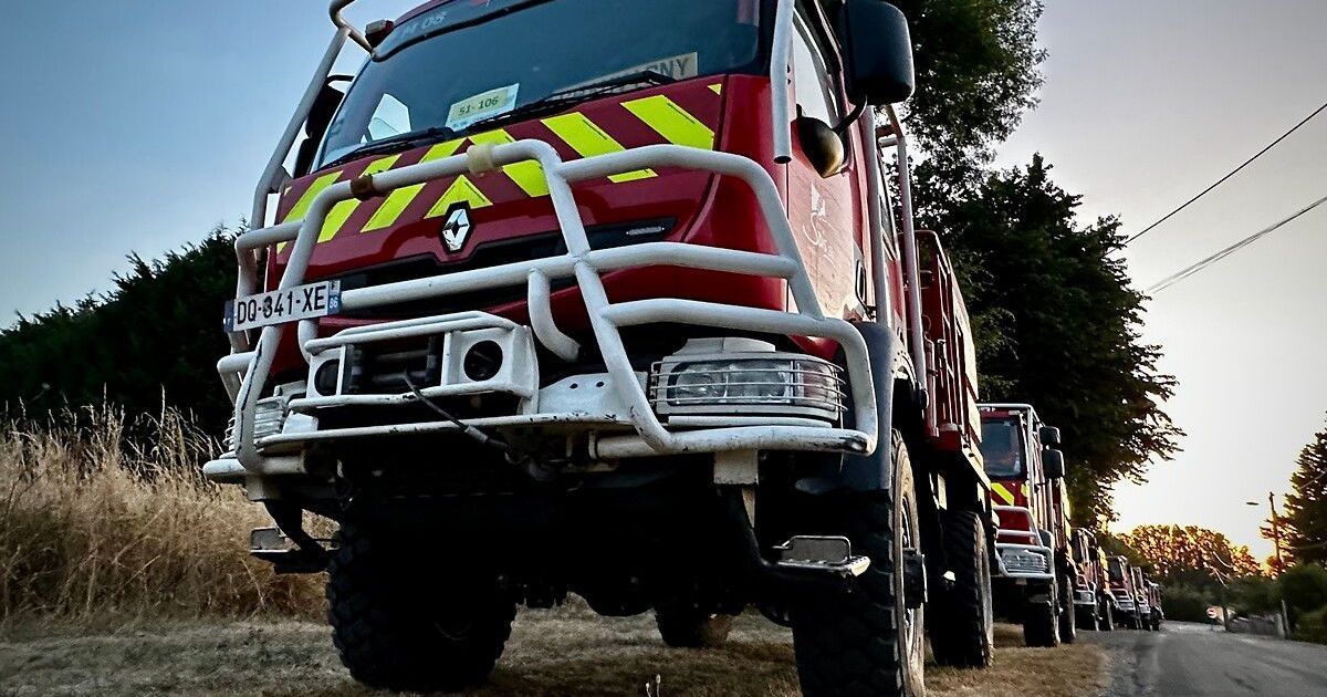 Incendie ravageur en Vienne : plus de trente hectares de cultures détruits