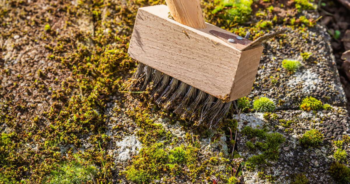 Dites adieu à la mousse verte sur votre balcon avec deux ingrédients simples