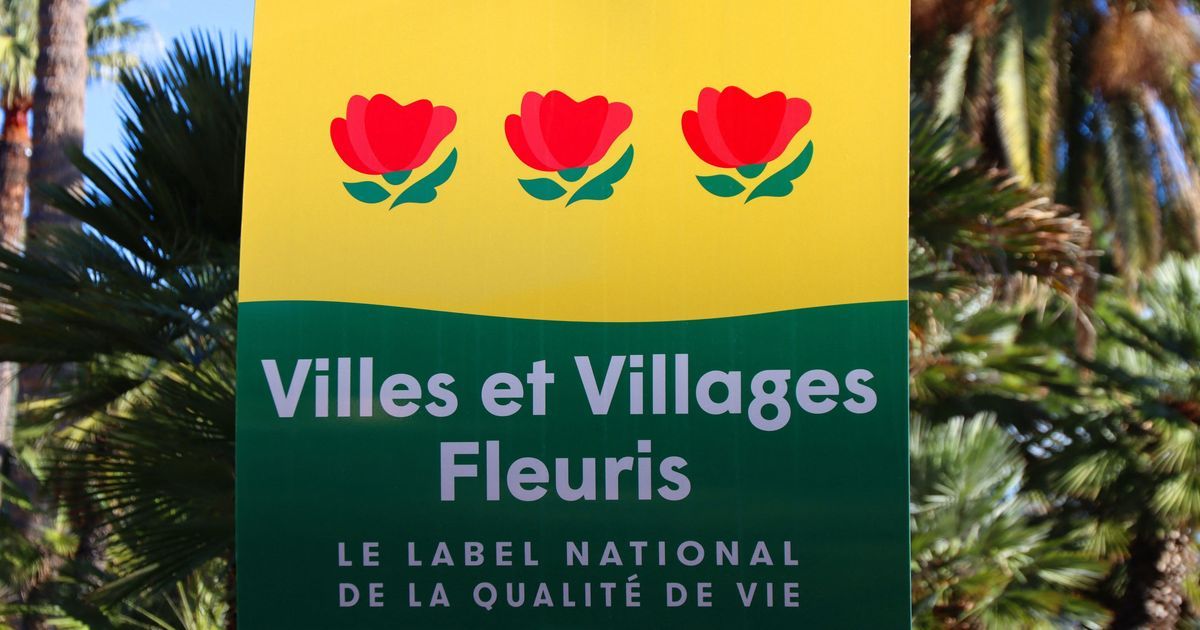 Vitrolles, Sausset-les-Pins et Noves brillent avec leur 3e fleur