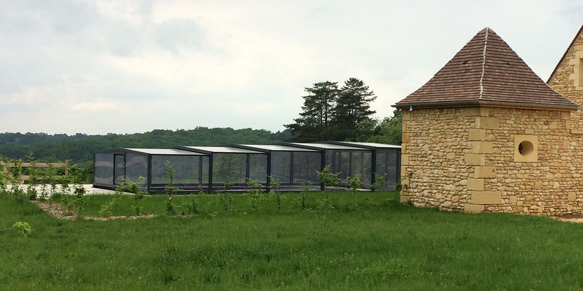 Choisir l'abri de piscine idéal pour votre espace aquatique