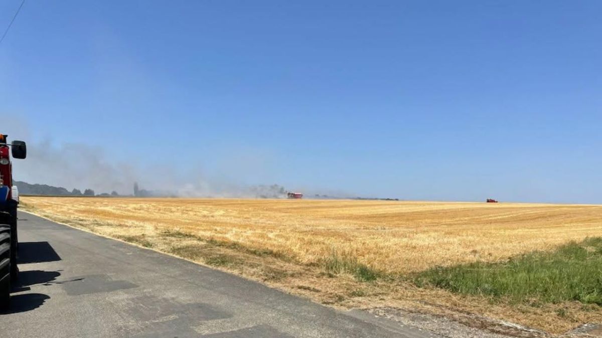 Un sérieux incendie ravage des hectares près de Tours