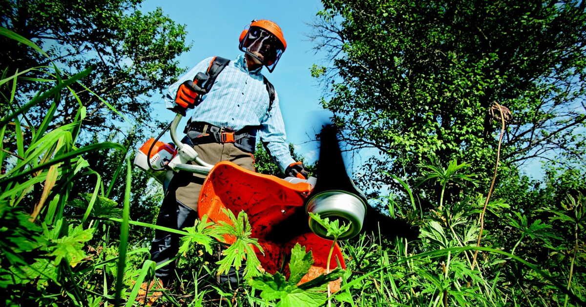 Que faire si votre voisin neglecte son jardin ?