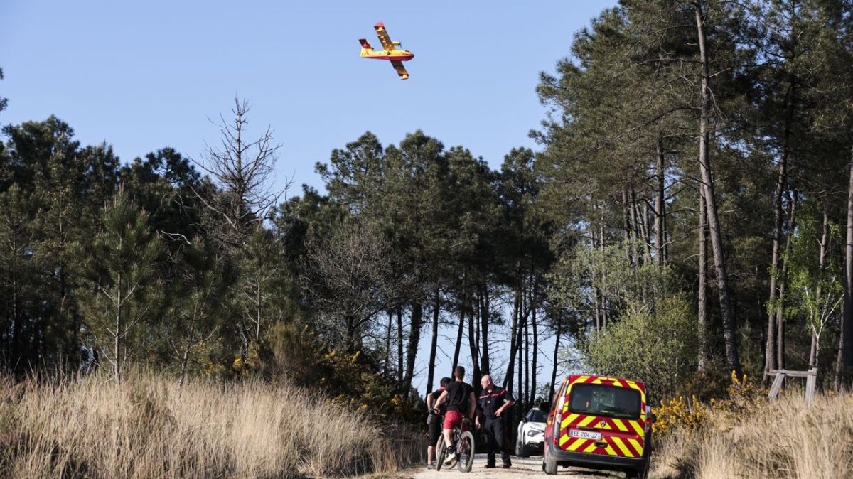 Restrictions en Indre-et-Loire : l'alerte incendie de niveau sévère pour cet été