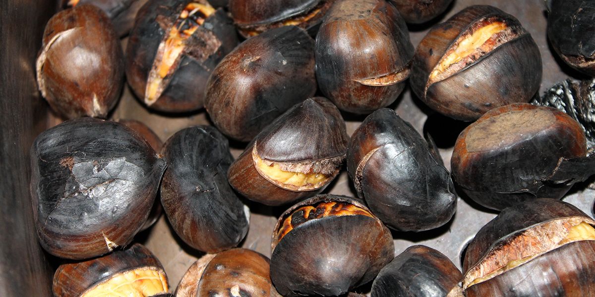 À la découverte des marrons et châtaignes : décryptage d'un fruit automnal