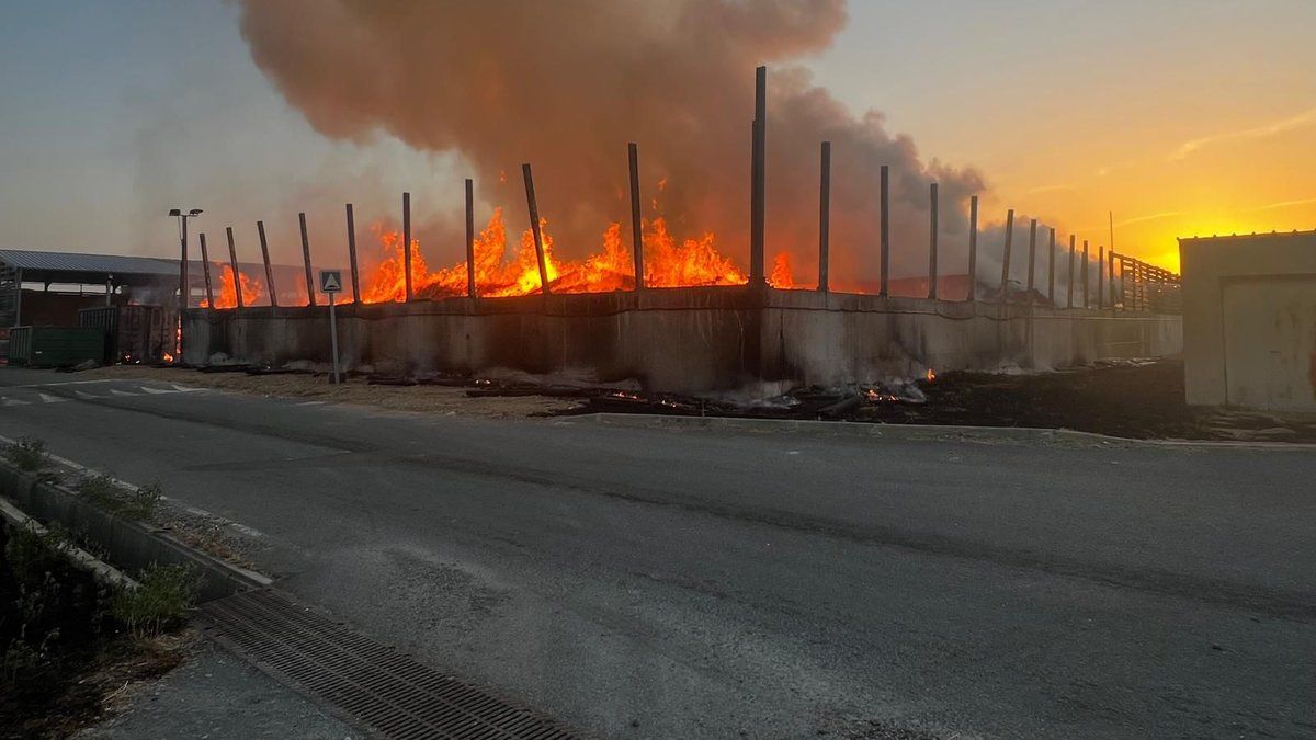 Un incendie dévastateur à Trifyl : 2 000 tonnes de bois réduites en cendres