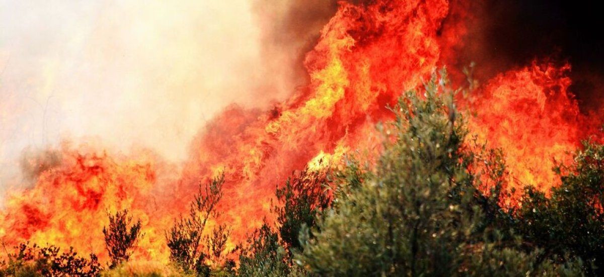 L'alerte précoce sur les feux de forêt suscite des inquiétudes en France