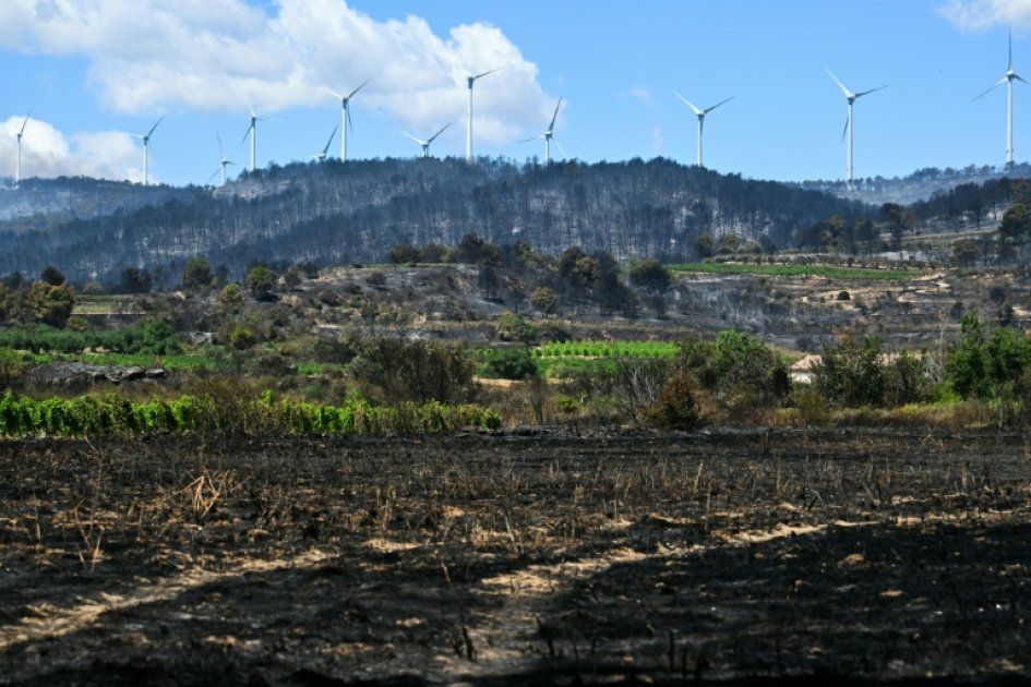 Les incendies précoces ravagent le Sud : un été sous tension