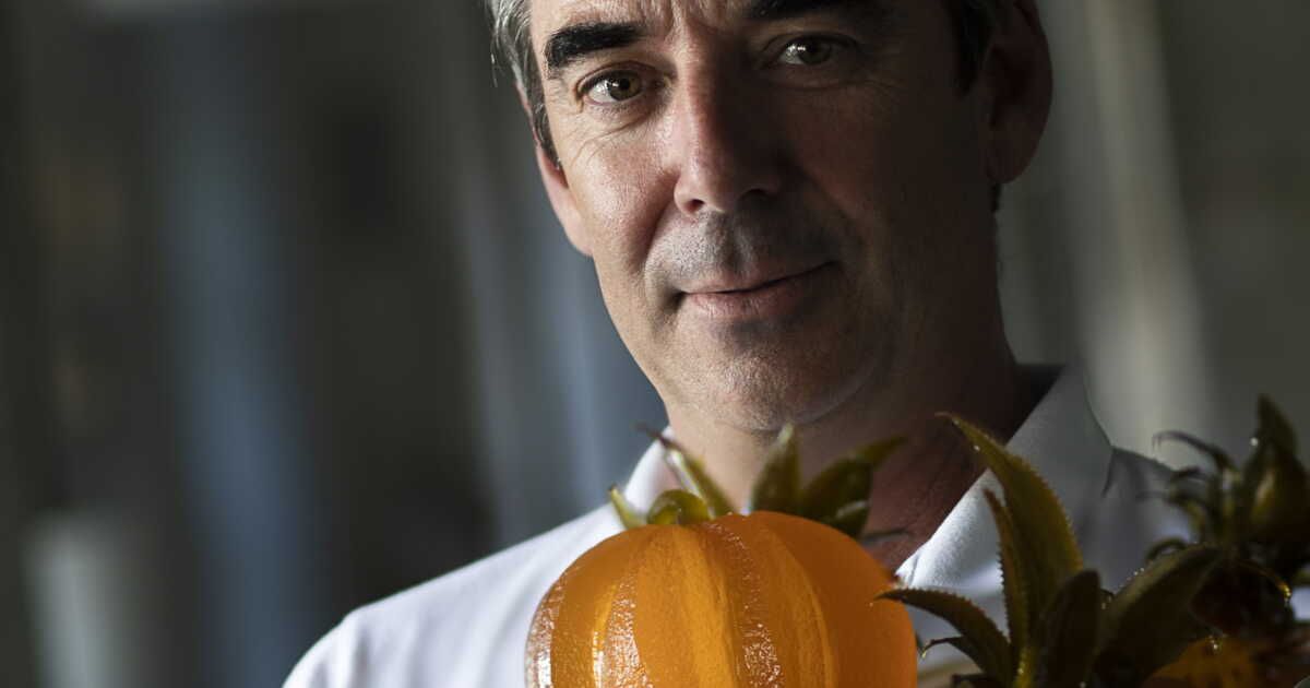 À la rencontre d'un artisan : l'art des fruits confits dévoilé