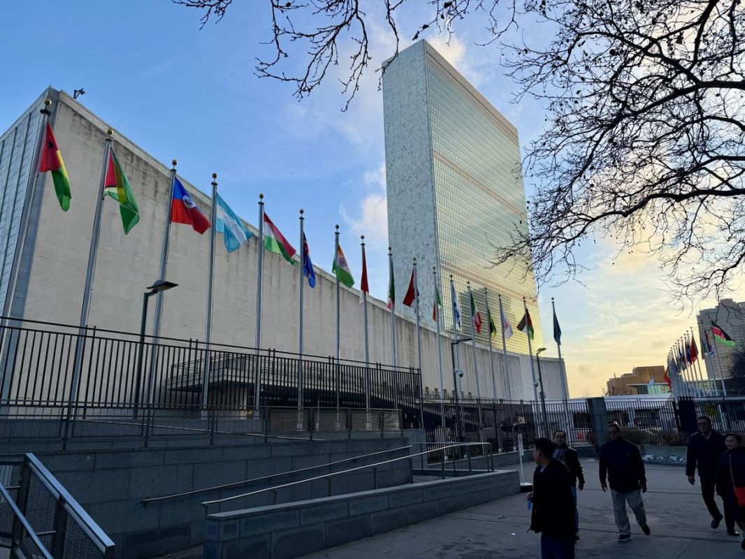 Un acte tragique devant les Nations Unies : un homme s'immole en brandissant le drapeau tibétain