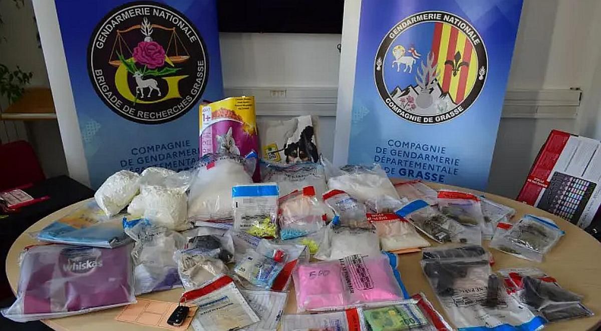 L'incroyable découverte d'un réseau de trafic de kétamine grâce à des croquettes