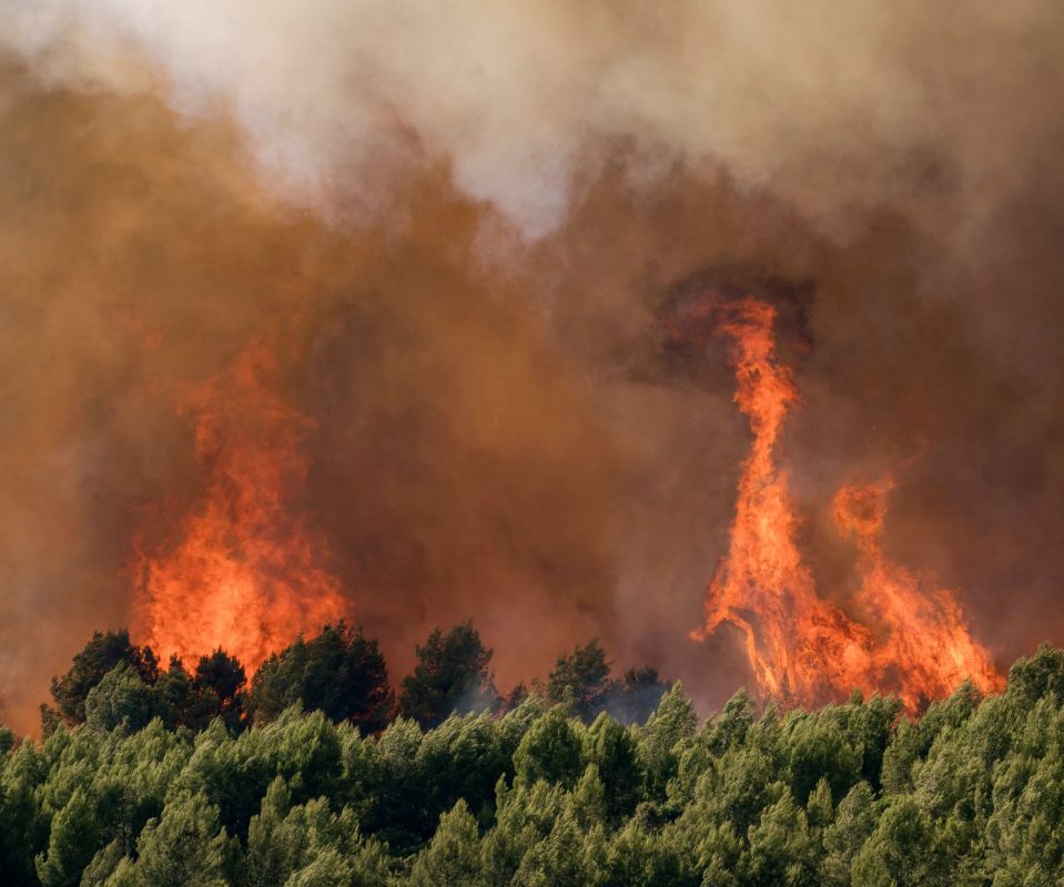 Incendies dévastateurs dans le Sud-Est : l'état d'alerte s'intensifie